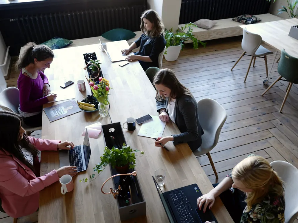 Five colleagues work at a long wooden table in a bright office.